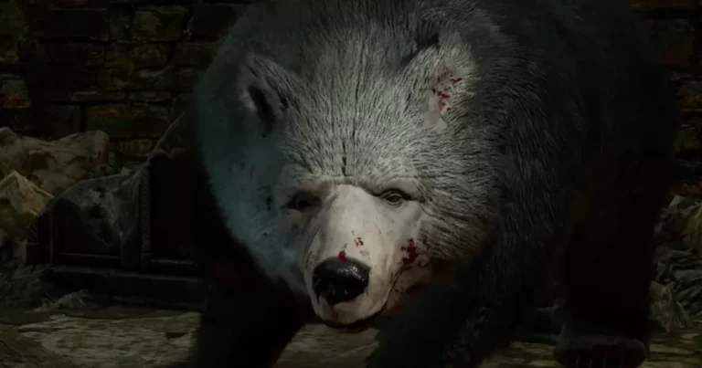 bear-baldur-gate-sex